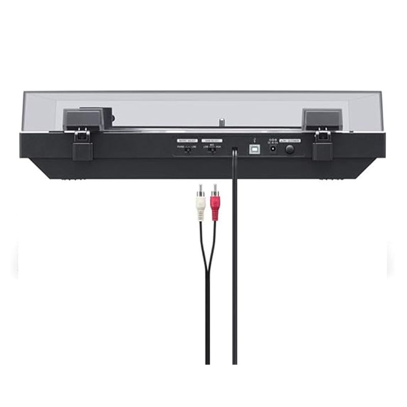 AM00384BLK_4