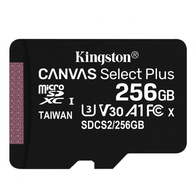 CP-KINGSTON-SDCS2256GB-1