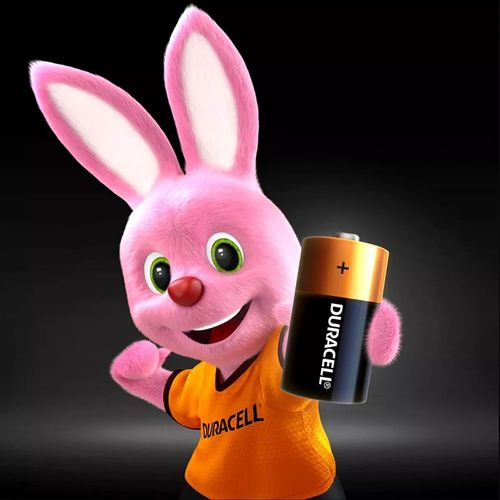 Pilas alcalinas Duracell Tipo-C 2pack