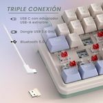 K673CPG_3