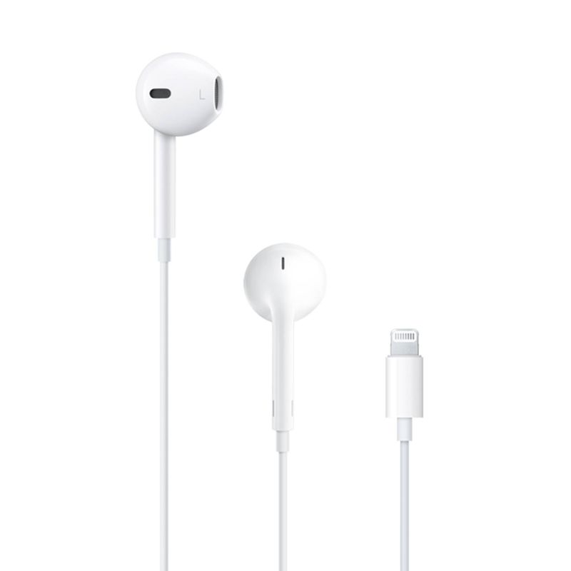 1734618130935-ear1_7e079619_thumbnail_4096