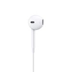 1734618138514-ear3_ba2f8540_thumbnail_4096