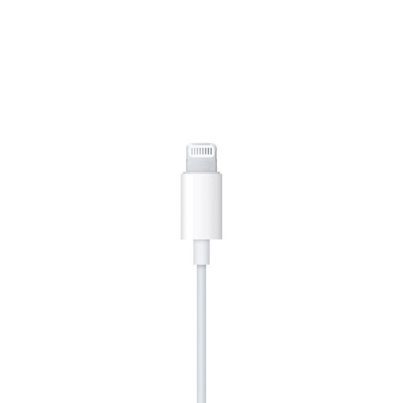 1734618144737-ear5_78faef76_thumbnail_4096