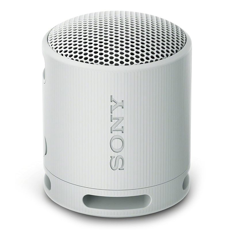 Sony-SRS-XB100-gris_1.jpg