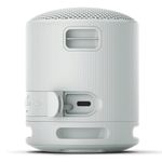 Sony-SRS-XB100-gris_3.jpg