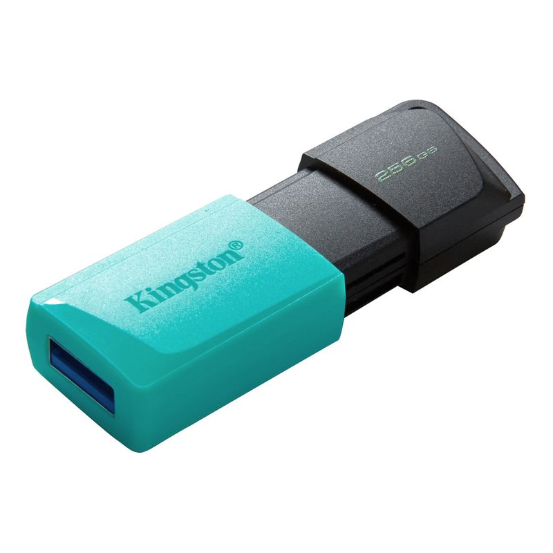 USB-Kingston-DTXM-256gb_2.jpg